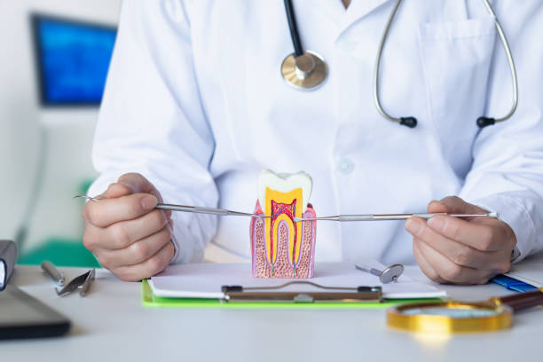Emergency Dentist for Kids in MS